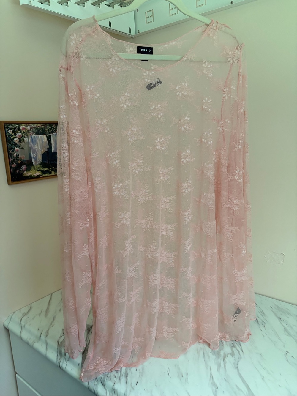 NWT Torrid 5 Pink Sheer Floral Lace Long Sleeve Layering Top